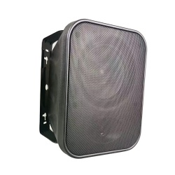 5inch 6inch Wall-mounted Speaker
