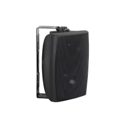 Wall-mounted Speaker